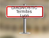 Diagnostic Termite ASE  à Lyon